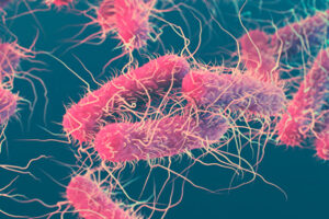 Trinkwasser-Keime Pseudomonas aeruginosa Escherichia-Coli (E.-Coli)