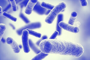 Trinkwasser-Keime Legionellen